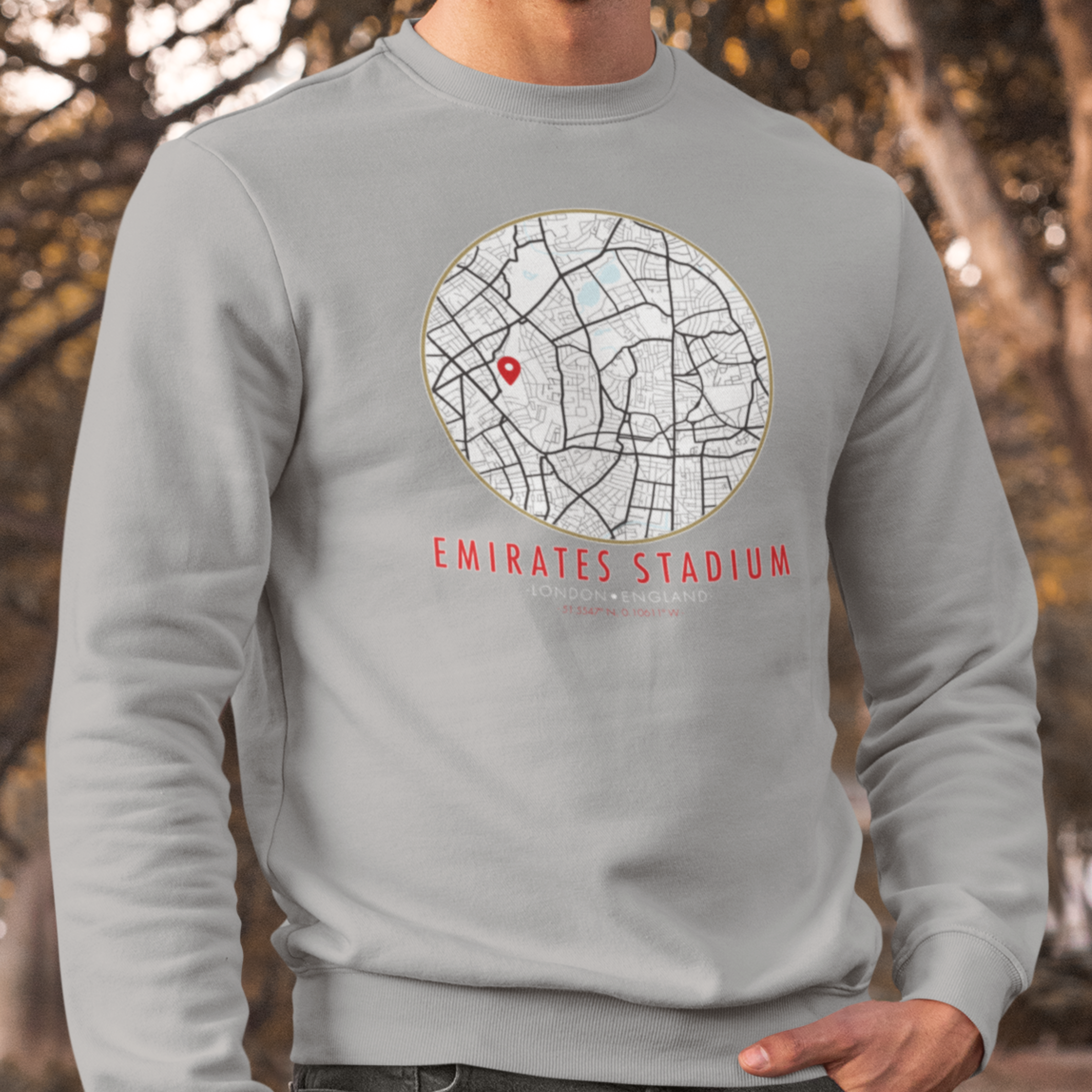 EMIRATES STADIUM MAP