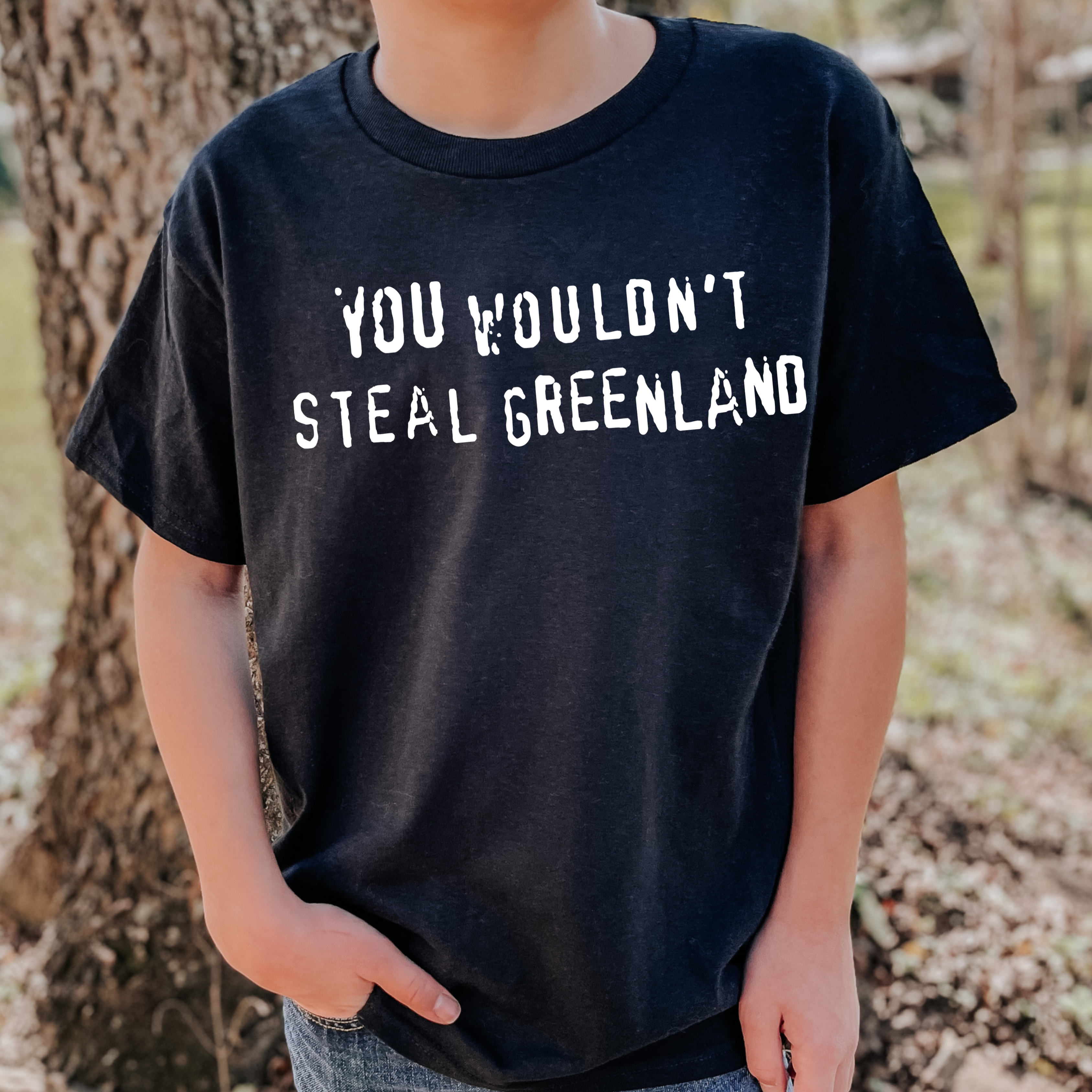 YOU WOULDN'T STEAL GREENLAND