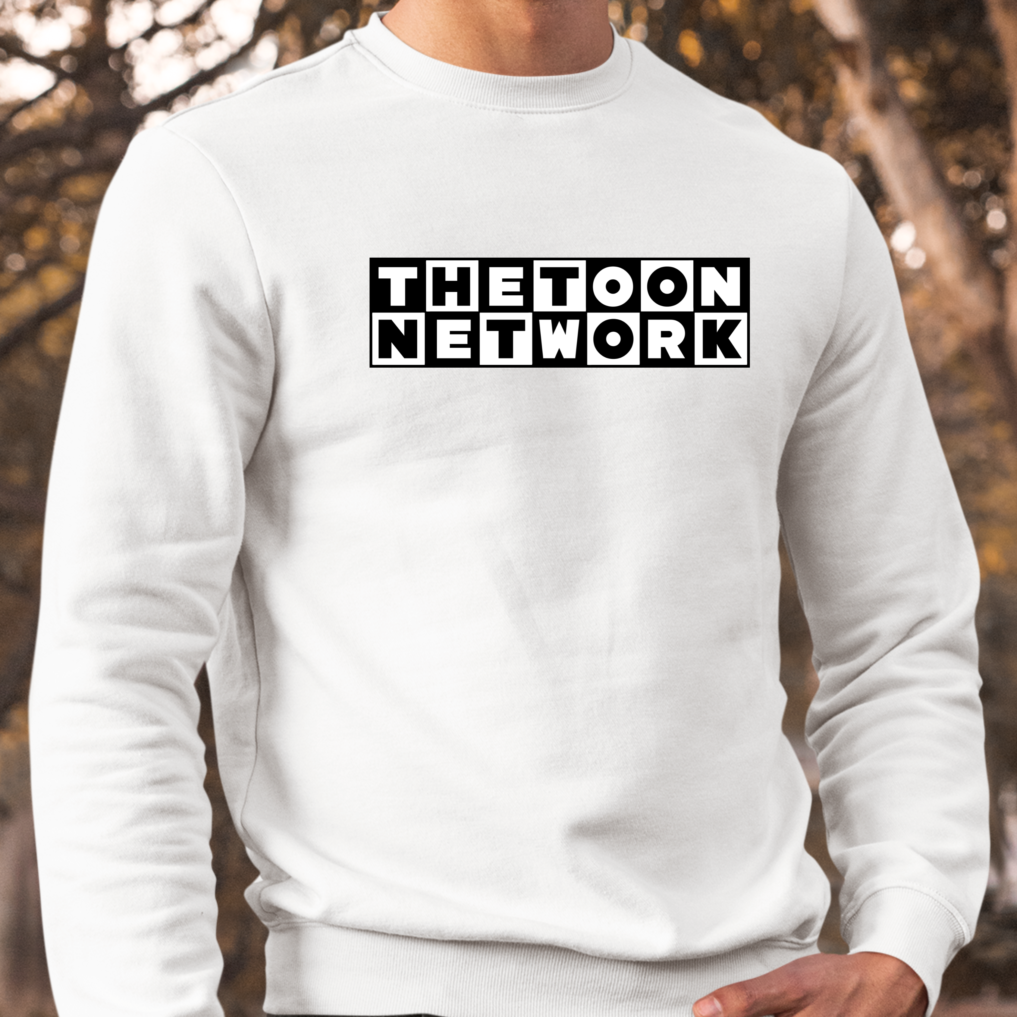 THE TOON NETWORK
