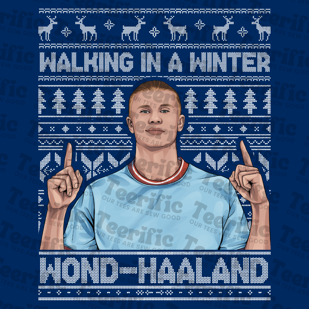 Walking in a Winter Wondhaaland - Sweater