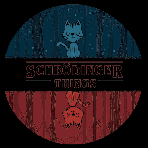 Schrodinger Things T Shirt