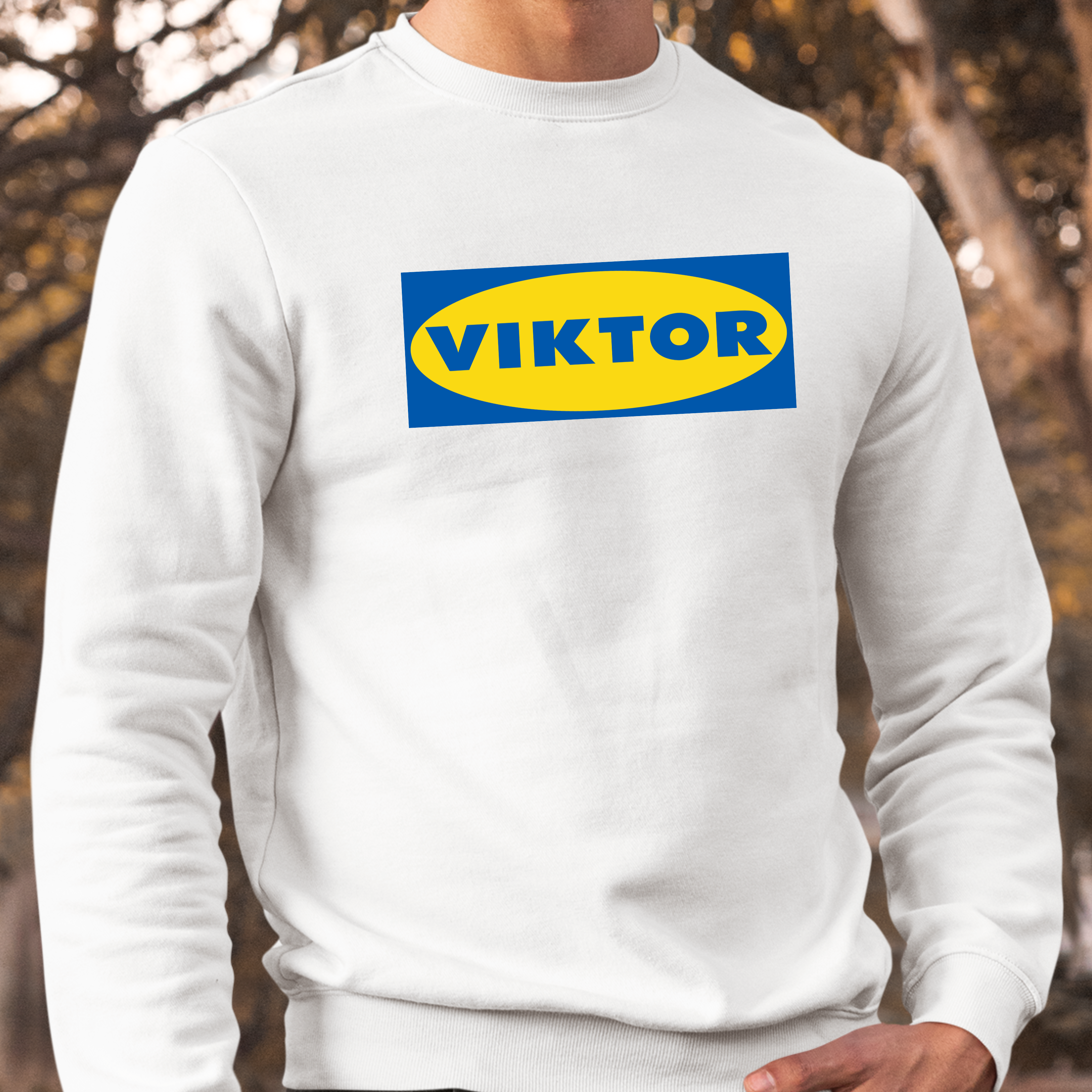 VIKTOR SWEDEN