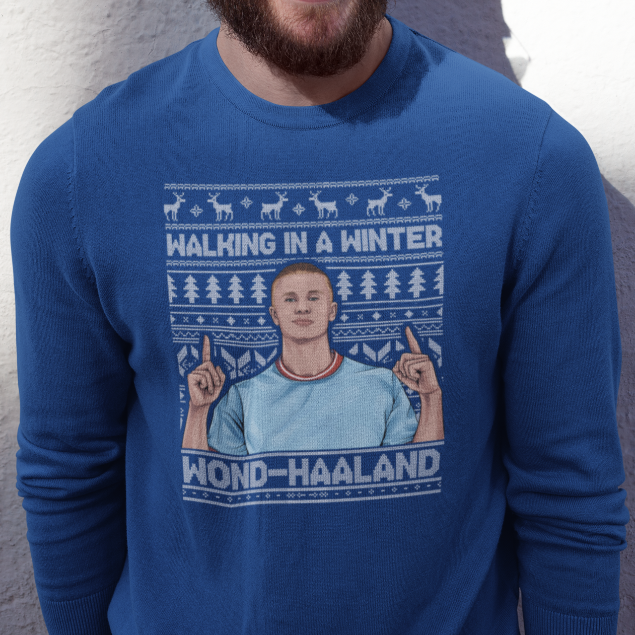 Walking in a Winter Wondhaaland - Sweater