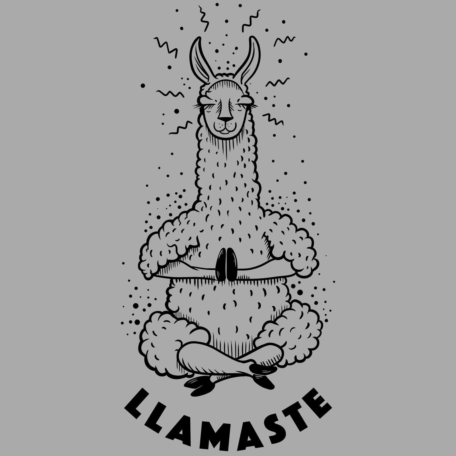 Llamaste Kids Hoodie